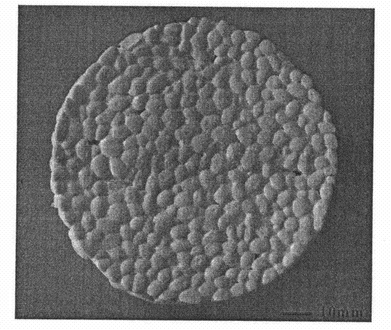 Nontoxic, odorless and recoverable environmentally-friendly polyurethane foaming material and preparation method thereof