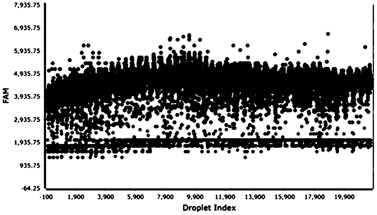 Kit for detecting human herpes virus infection and detection method thereof