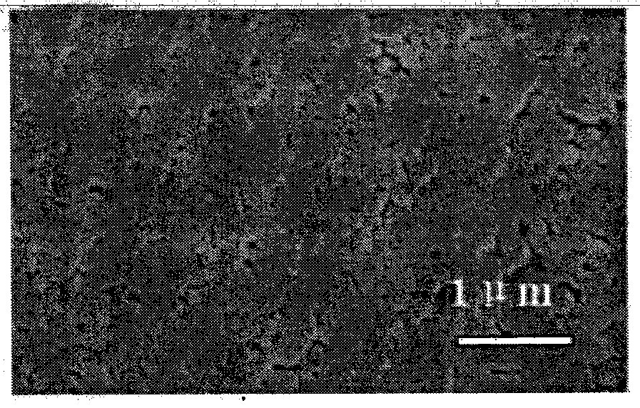 Method for preparing vanadium dioxide film through inorganic sol-gel method