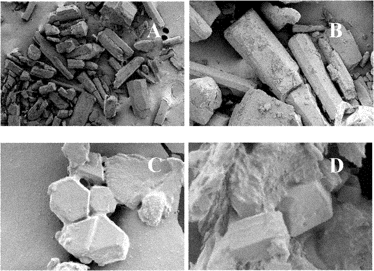 Antineoplastic compound deacetylase fungus epoxy ethyl ester injection and preparation method thereof