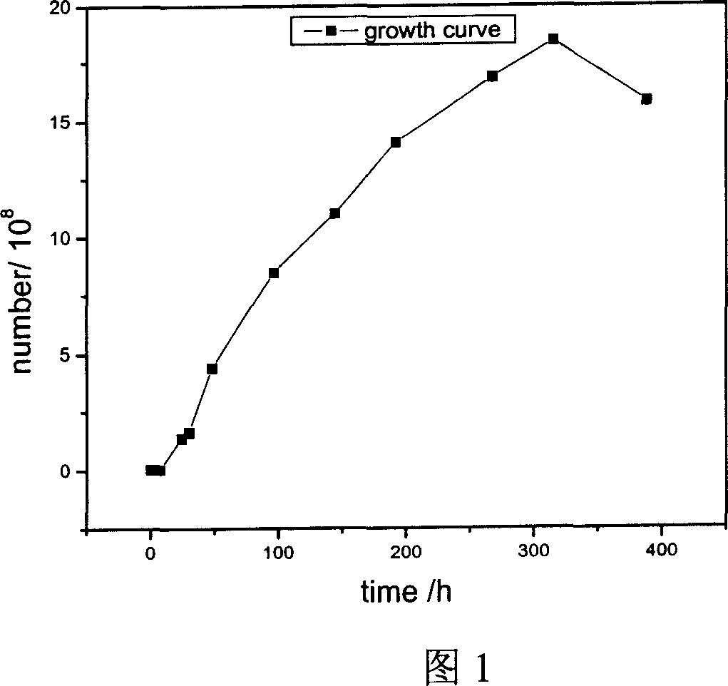 Human ochrobactrum anthropi and its application in degrading plant stalks and preparing important enzyme