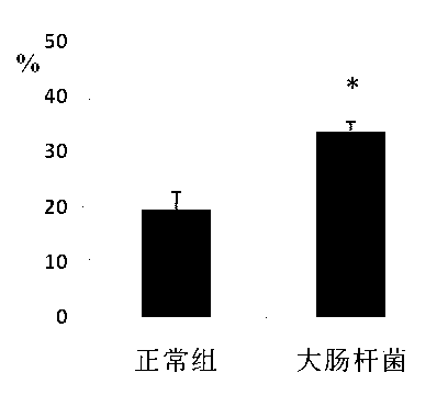 Preparation method of animal model simulating human pelvic inflammatory disease (PID)