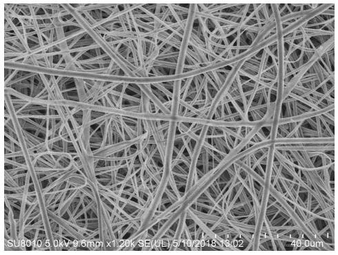 Cobalt single-atom catalyst anchored on carbon nanofibers with cobalt atoms and its preparation method and application