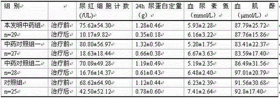 A kind of traditional Chinese medicine composition and application thereof for the treatment of IGA nephropathy