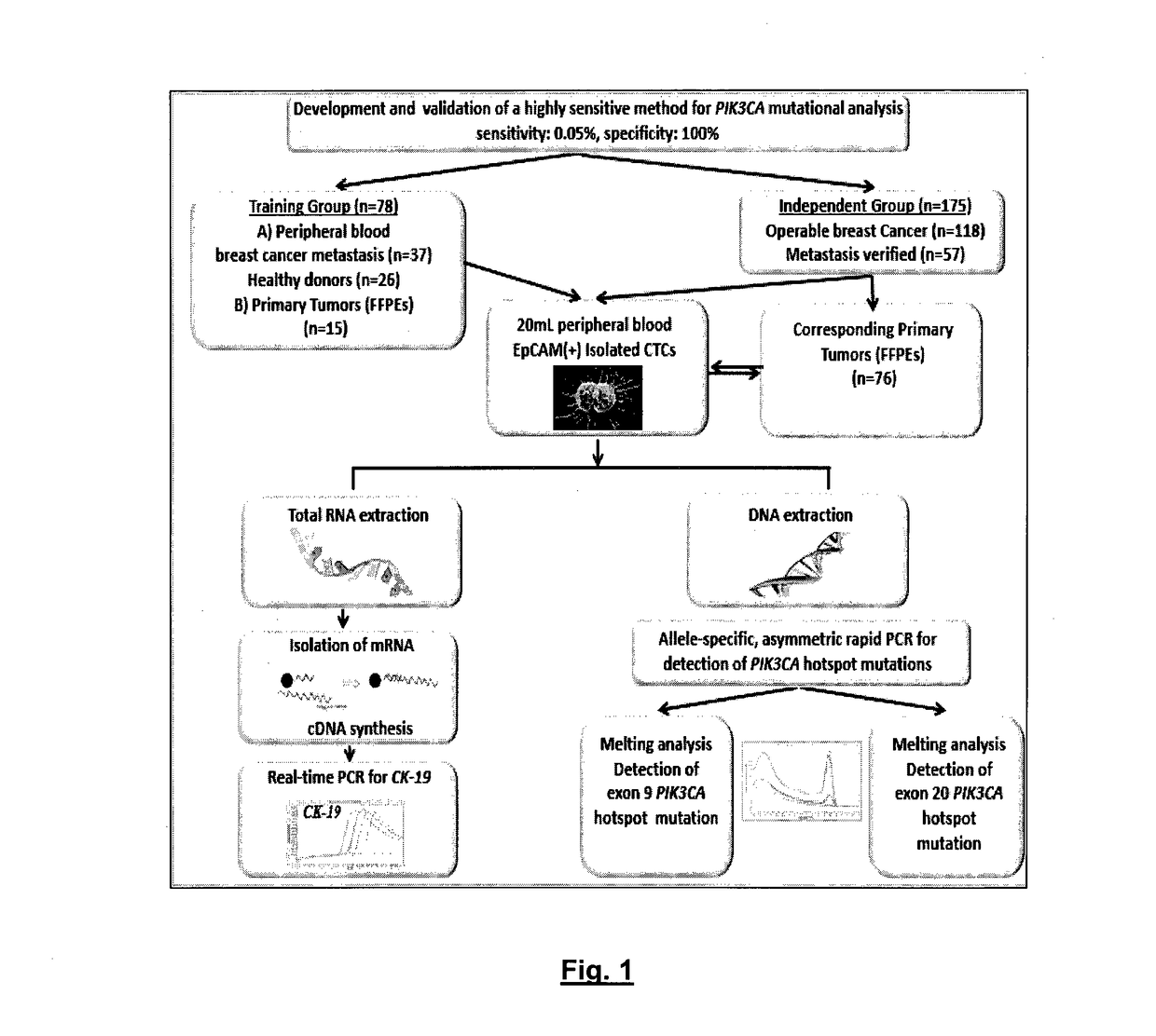 Method of determining pik3ca mutational status in a sample