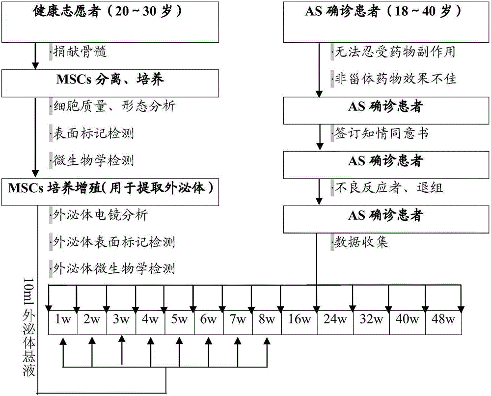 Novel application of exosome of mesenchymal stem cell source