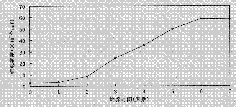 Method for suspension culture of sensitive cells and method for producing blue ear disease vaccine by using sensitive cells