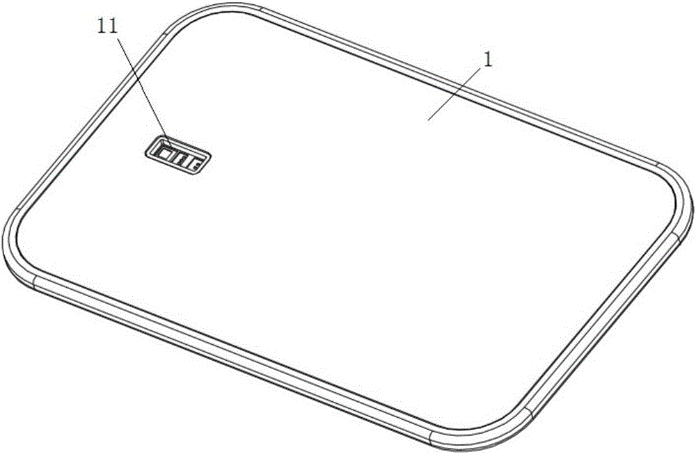 Oximeter and blood oxygen monitoring method