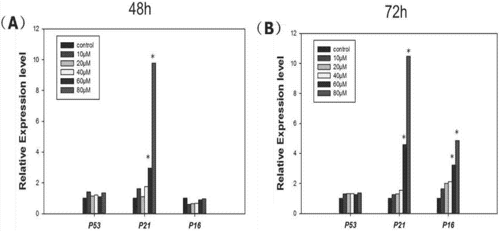 Drug target and applications thereof related to castration-resistant prostate cancer