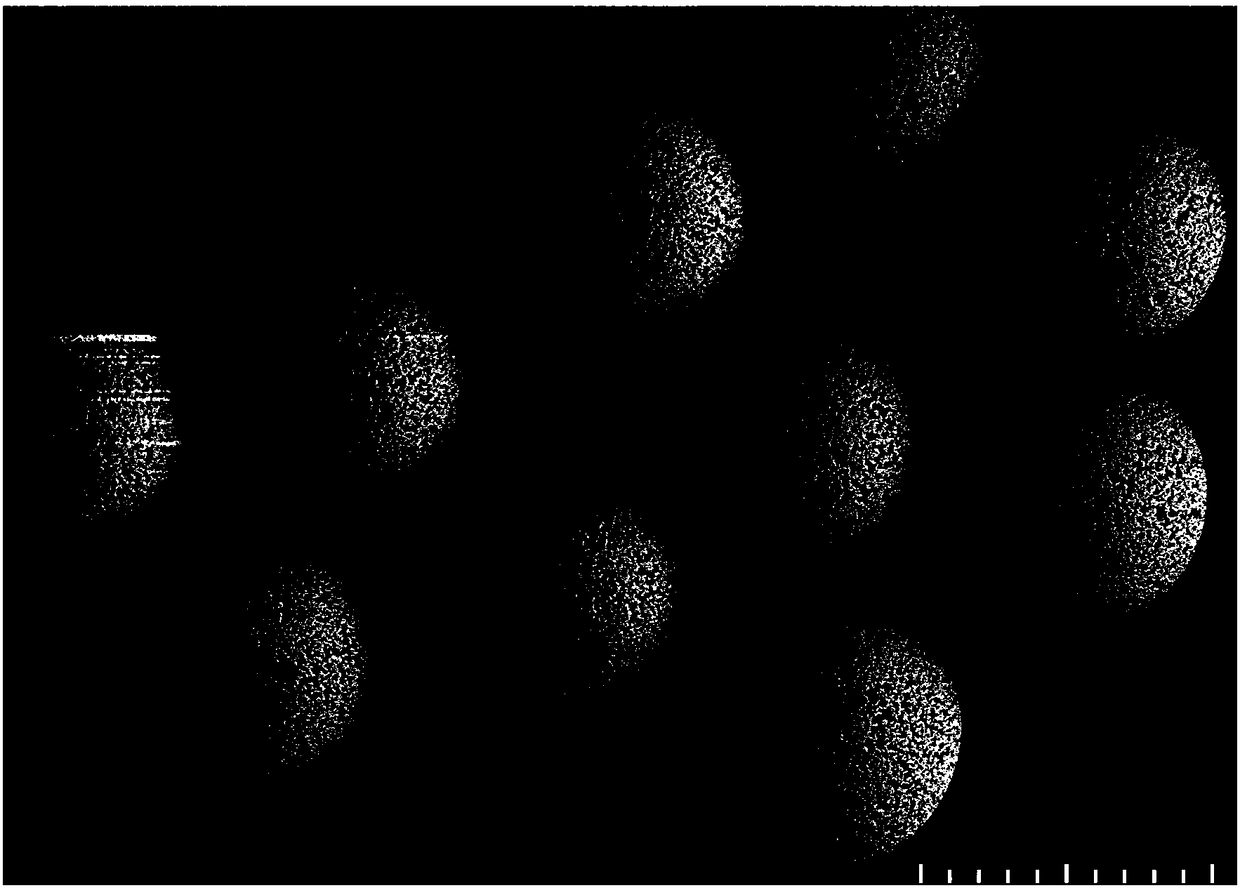 Preparation method and application of carboxylated polystyrene microspheres