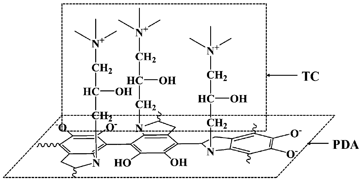 Preparation method of modified cation exchange membrane