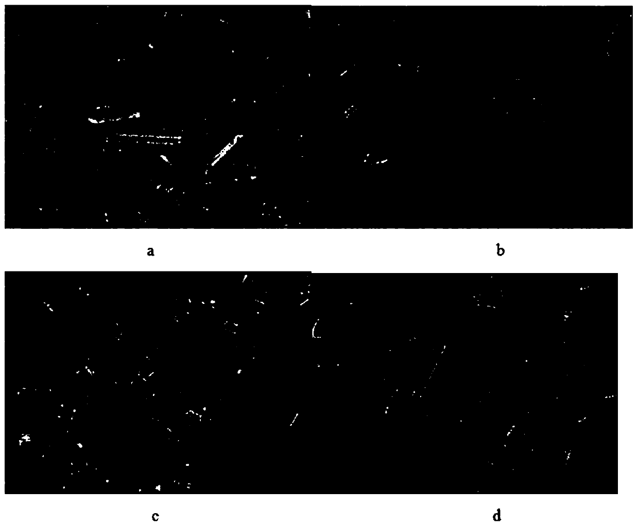 Application and preparation method of Hovenia dulcis bark extract in preparation of medicine for treating kidney stones