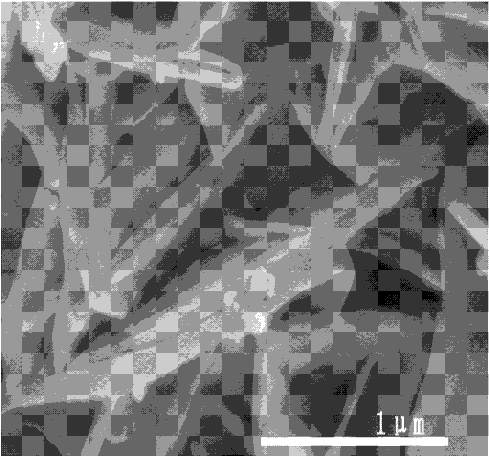 C/Fe-FeVO4 composite photocatalyst as well as preparation method and application thereof