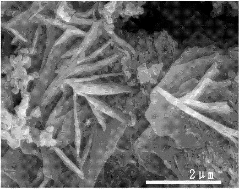 C/Fe-FeVO4 composite photocatalyst as well as preparation method and application thereof