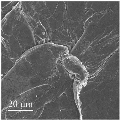 Protection method of alkali metal negative electrode, negative electrode prepared thereby and application