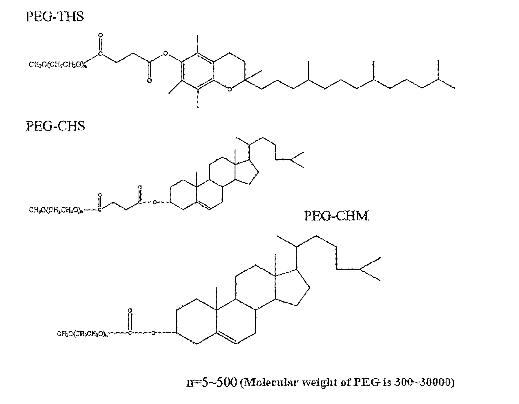 Drug Delivery System, its Preparation Process and Use