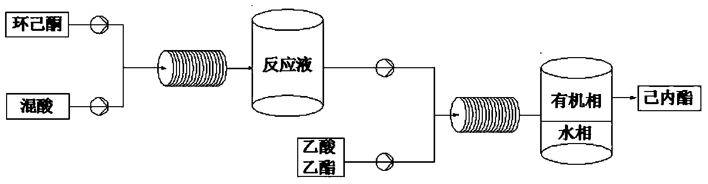 Method for preparing caprolactone through cyclohexanone catalyzed oxidation