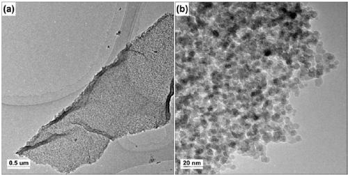 Preparation method of porous cobaltosic oxide nanosheet