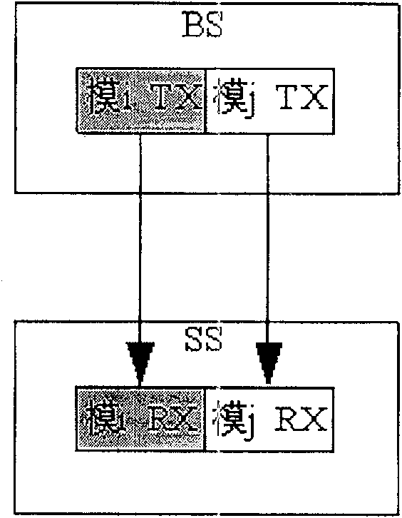 System and method for relizing multimode network coexistence