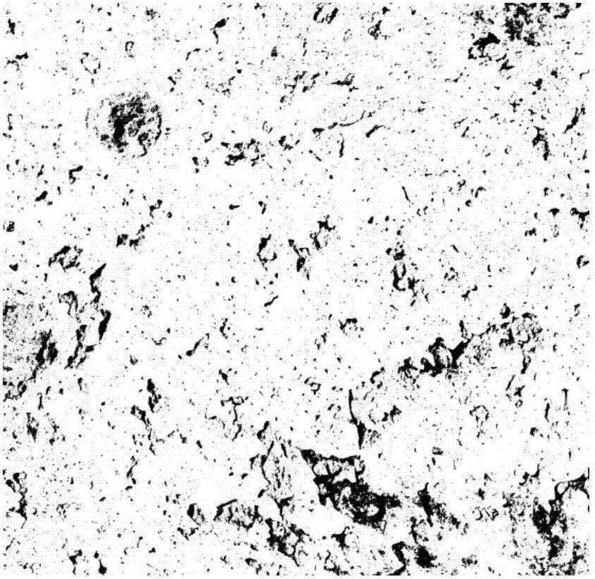 Detecting and evaluating method for appearance quality of concrete