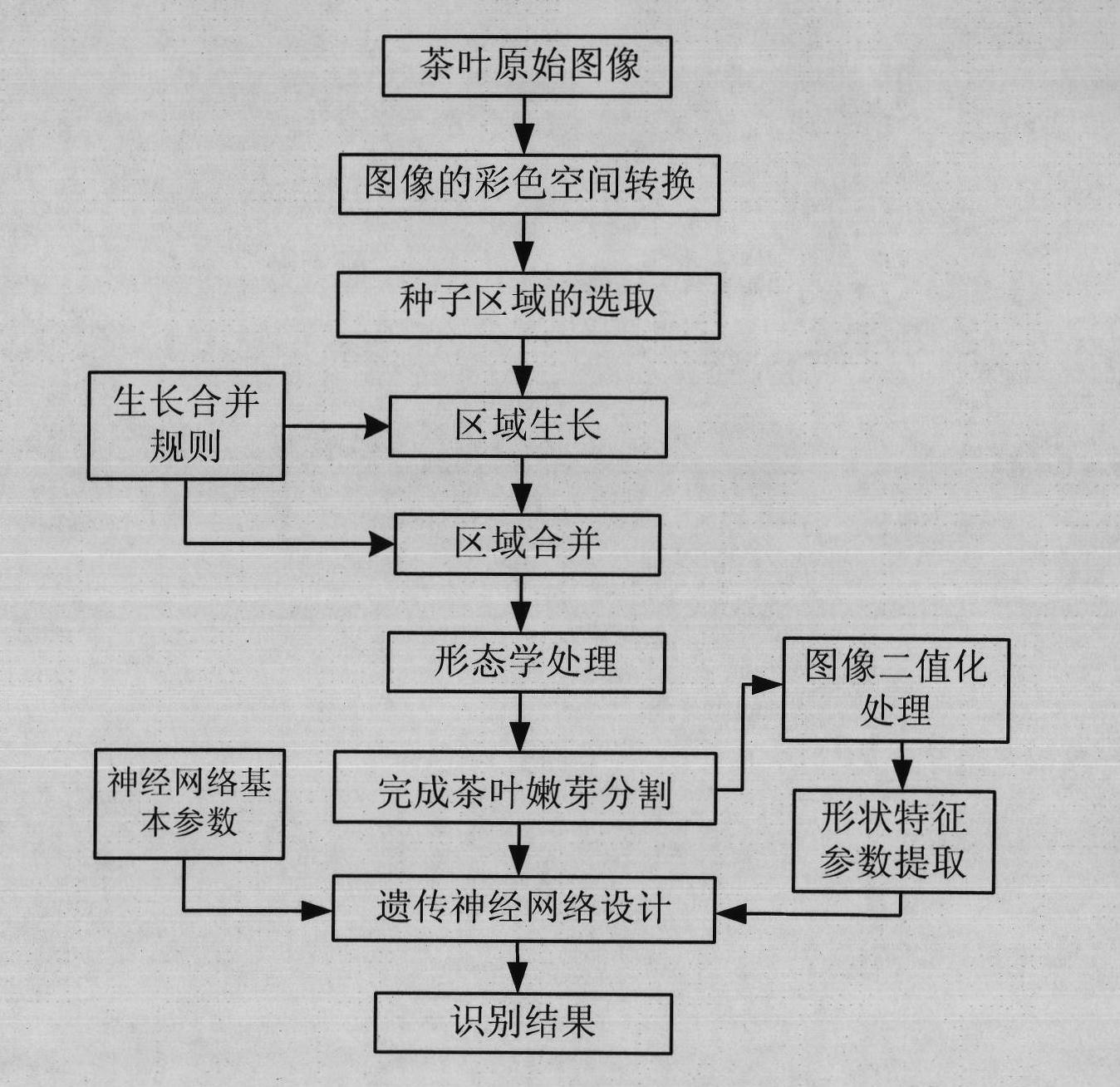 Tea tender shoot segmentation and identification method based on color and region growth