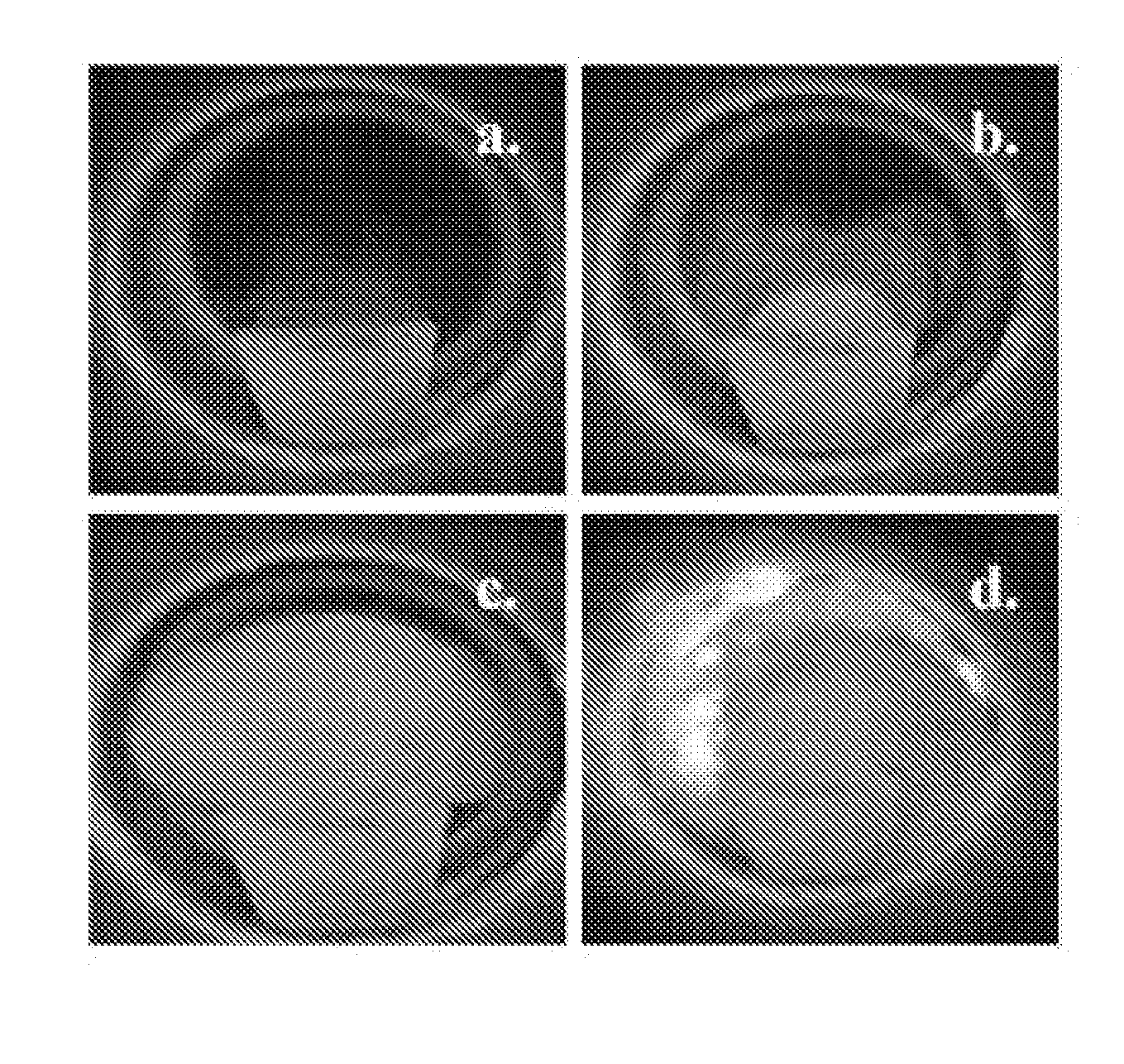 Method for Production of Metal Nitride and Oxide Powders Using an Auto-Ignition Combustion Synthesis Reaction