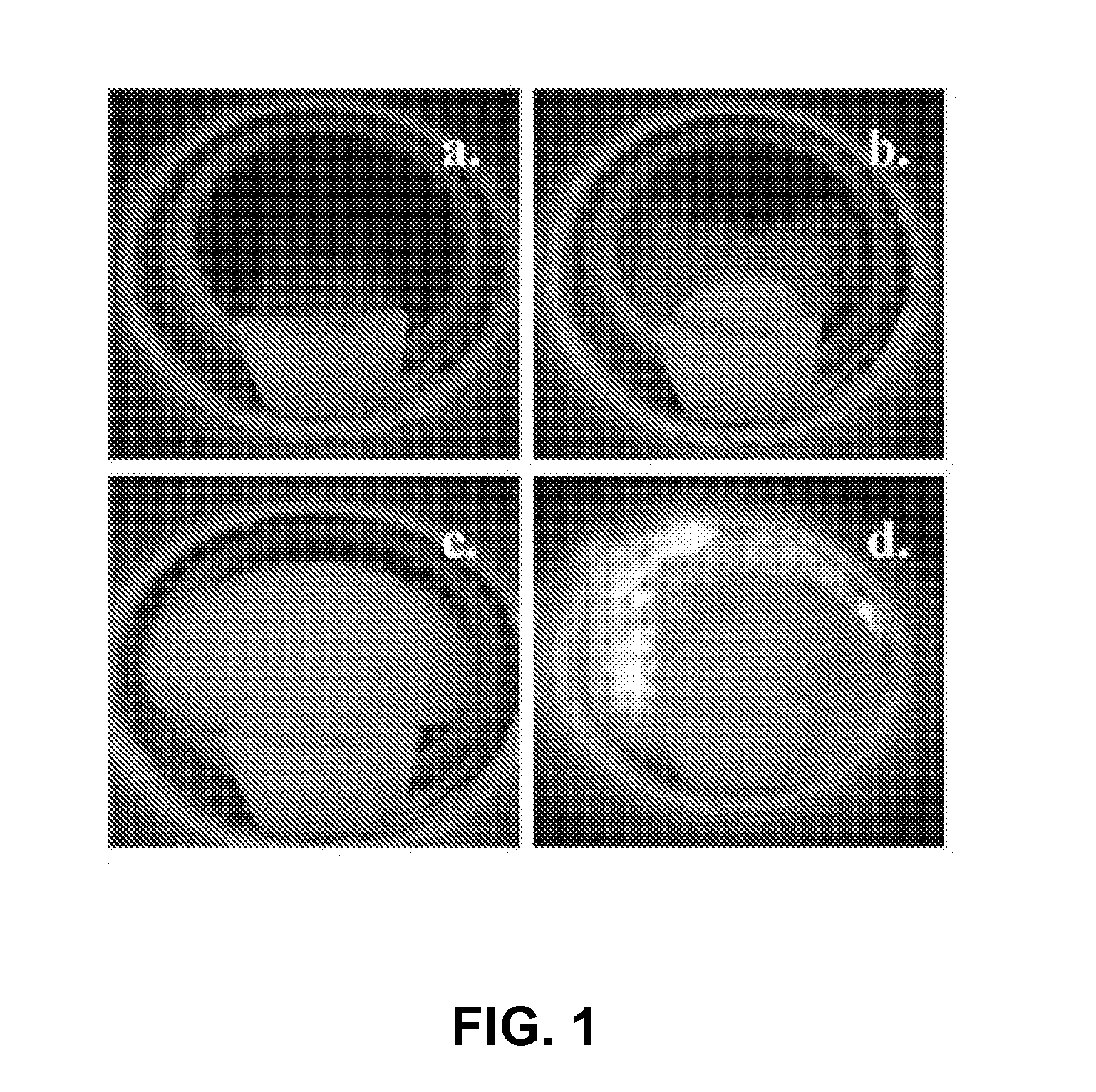 Method for Production of Metal Nitride and Oxide Powders Using an Auto-Ignition Combustion Synthesis Reaction