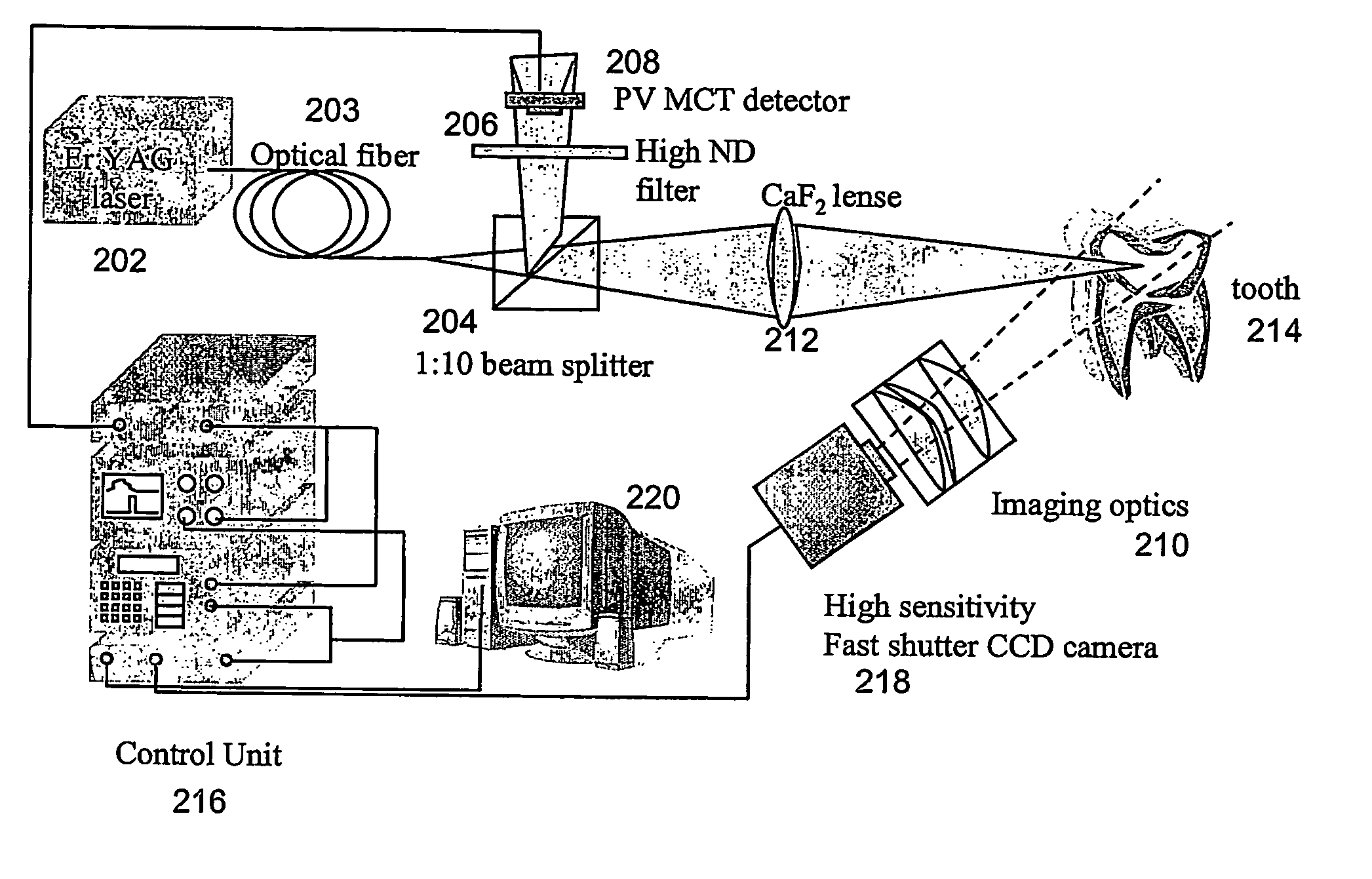 System,apparatus and method for large area tissue ablation