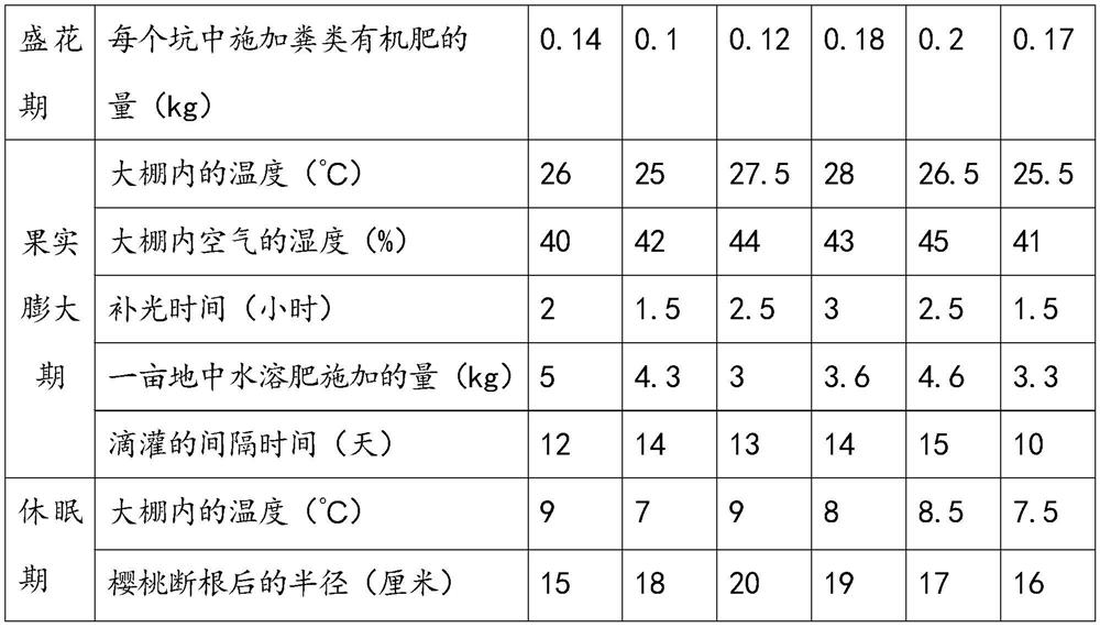 Cultivation method of greenhouse ecological cherries