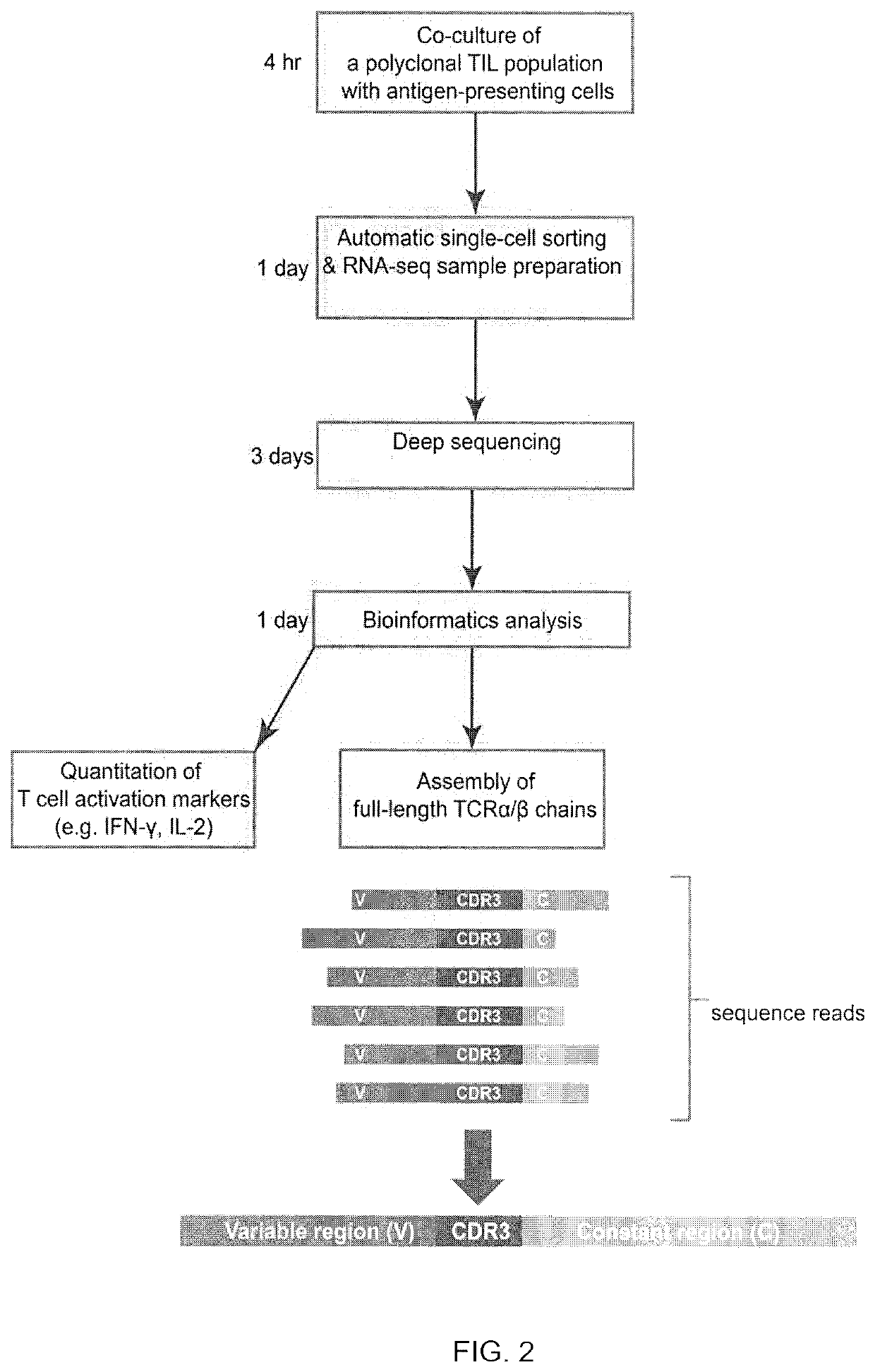 Methods of isolating neoantigen-specific t cell receptor sequences