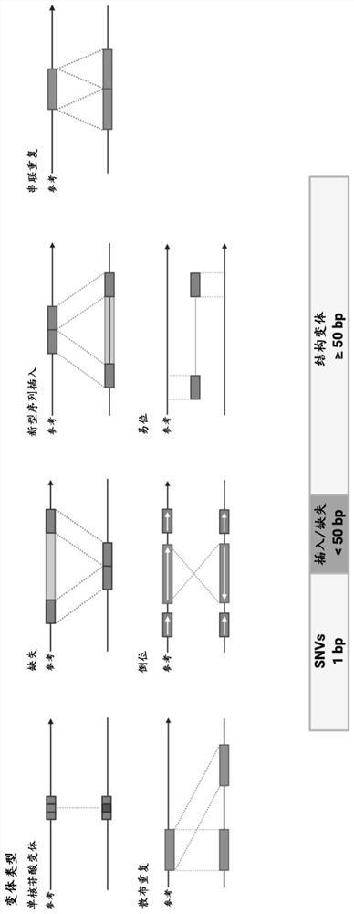 Identification of genomic structural variants using long read sequencing