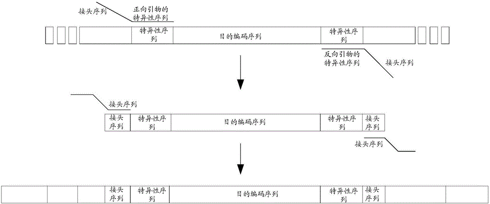 PCR primer used for amplifying human breast cancer susceptibility gene BRCA1 and BRCA2 coding sequence and application thereof