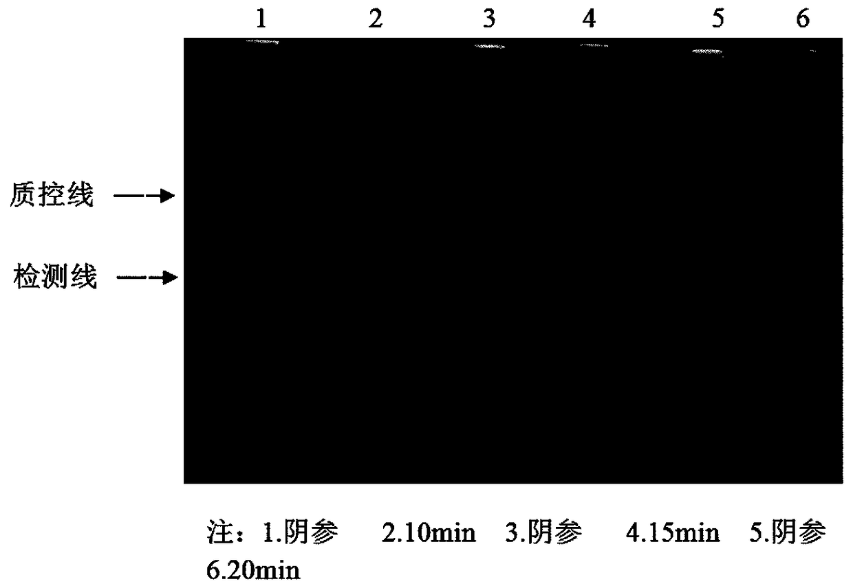 Recombinase polymerase amplification (RPA) method, RPA special primers and RPA probe for detecting streptococcus suis serotype 2 as well as application of RPA method, RPA special primers and RPA probe