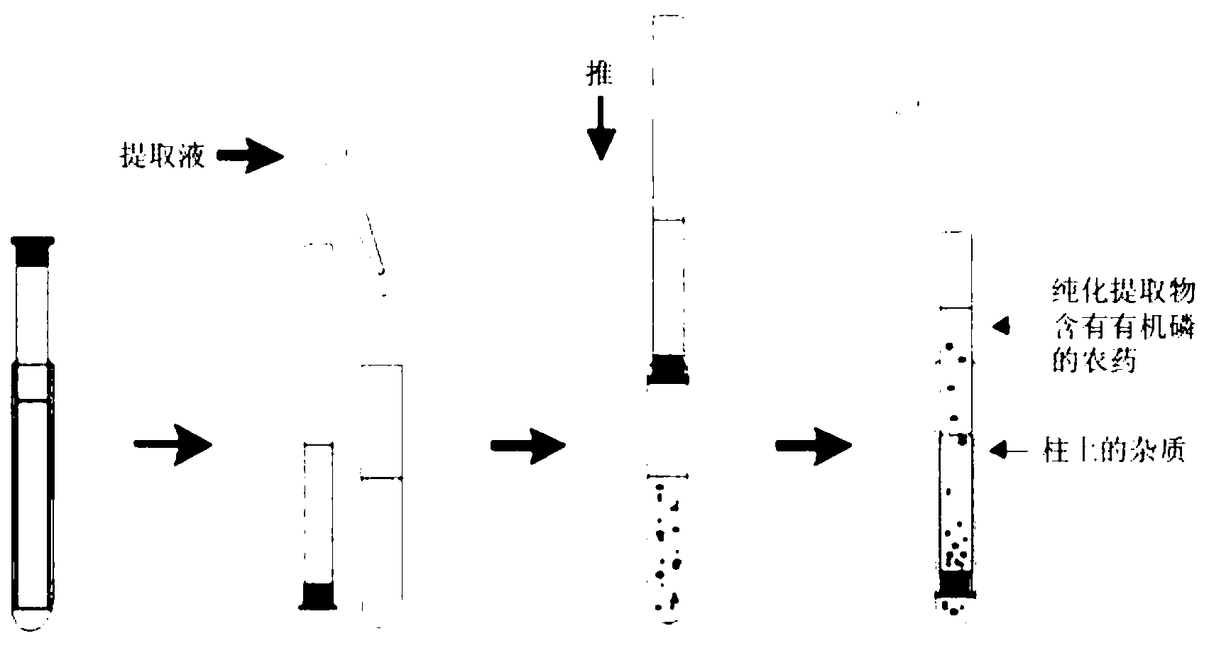 Extraction and purification method for determining organophosphorus pesticide residues in fruits and vegetables