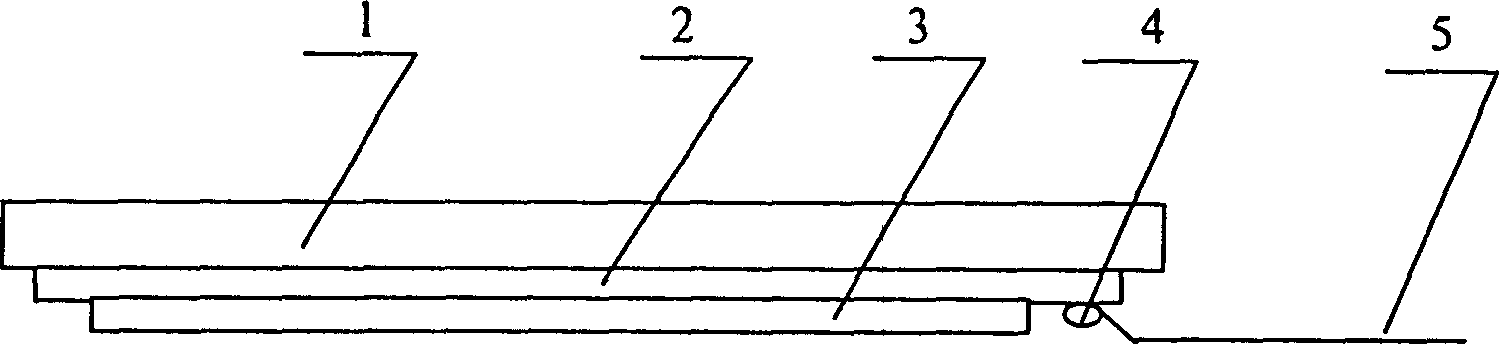 Field emission display made by single grid structure and silver pasting method