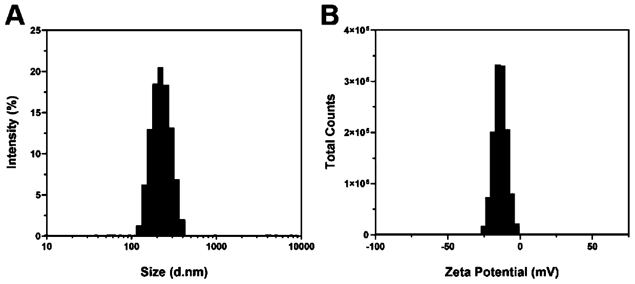 Novel graded targeted nanoparticles for mediating phototherapy and preparation method and application of novel graded targeted nanoparticles