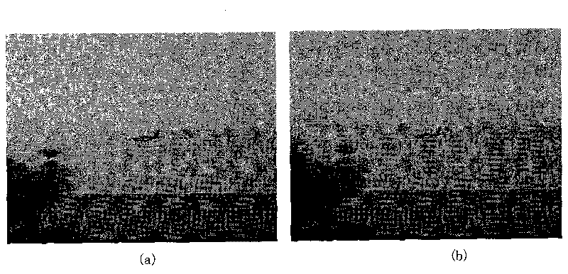 Movement target detection method based on visual sense bionics