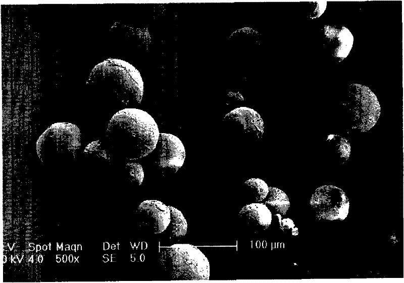 Levodopa methyl ester and benserazide mixed medicament slow-release microsphere composition and preparation method thereof