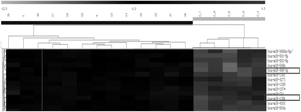 Atherosclerosis-related serum miRNA (microribonucleic acid) marker group, and specific primers and application thereof