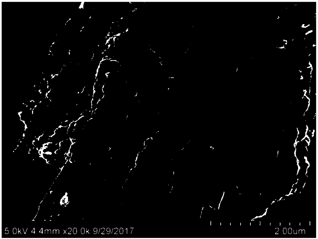 Cellulose-loaded porous calcium silicate filter material for heavy metal ion filtration and preparation method thereof