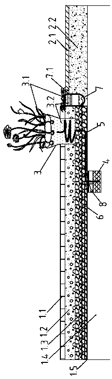 A Sponge City Ecological Square Rainwater Utilization Structure with Enhanced Water Storage