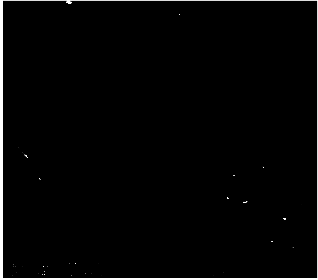 Synthetic hercynite and production method thereof