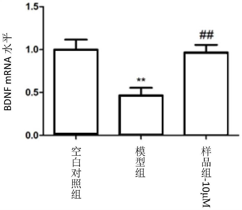 Coumarin dimer compound, pharmaceutical composition, preparation method and application thereof