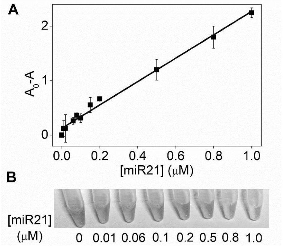 A detection method for visual identification of microRNAs based on structural unwinding of G-quadruplex probes