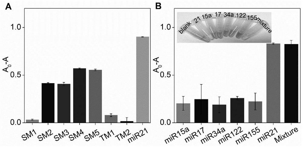 A detection method for visual identification of microRNAs based on structural unwinding of G-quadruplex probes