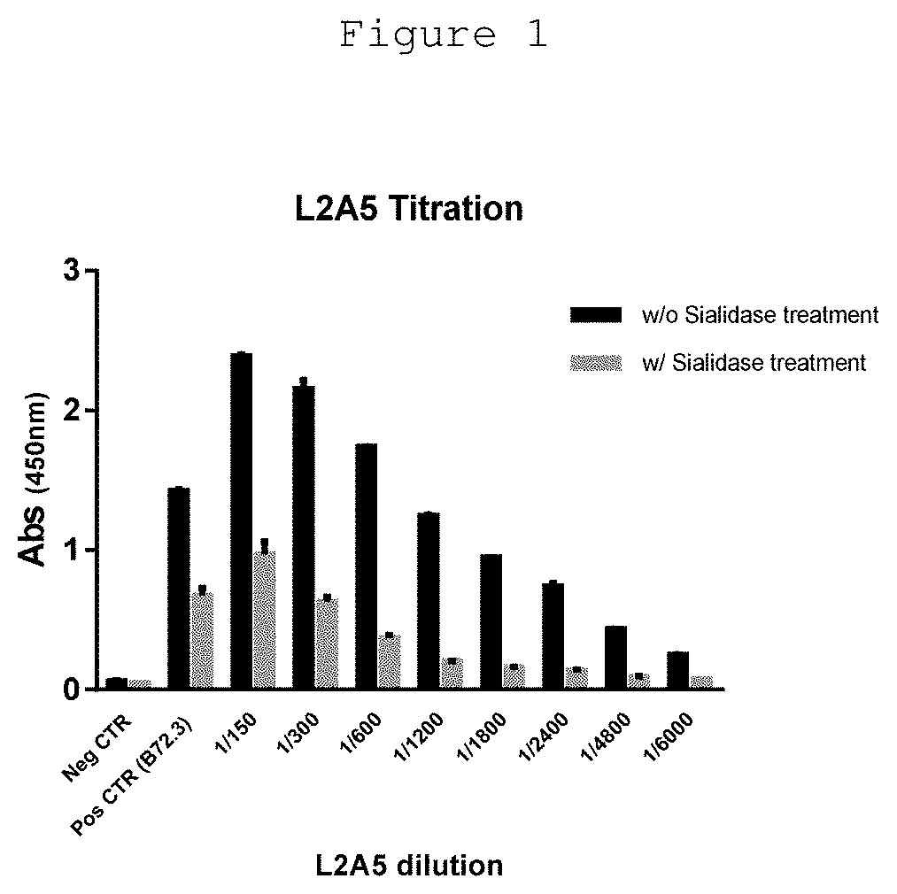 L2a5 antibody or functional fragment thereof against tumour antigens