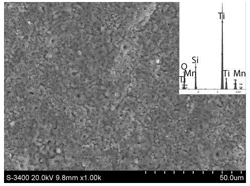 A kind of composite coating on medical titanium surface and preparation method thereof