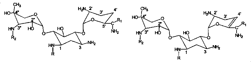 Method for preparing aminoglycoside antibiotic