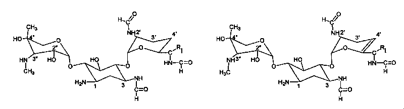 Method for preparing aminoglycoside antibiotic