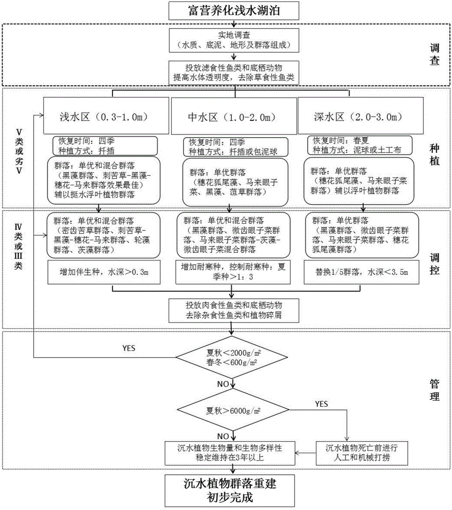 Reconstruction method of submerged plant communities in shallow lakes